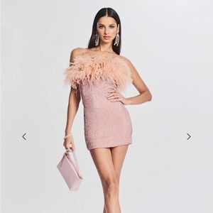 NWT Retrofete Torin Sequin Feather Mini Dress